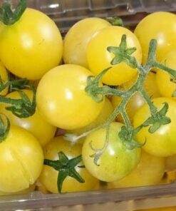 Yellow Cherry tomatoes