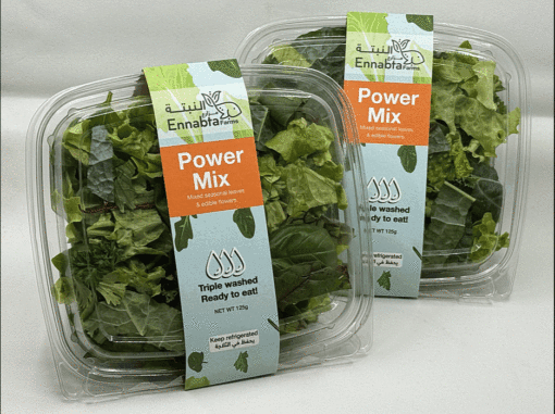 Fresh Salad